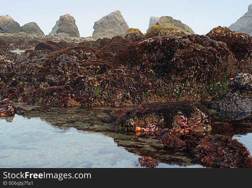 Low tide at Brookings, Oregon. Low tide at Brookings, Oregon