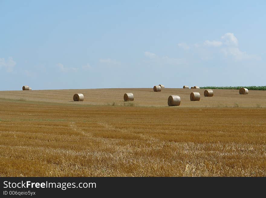 Stubble field in northern Germany