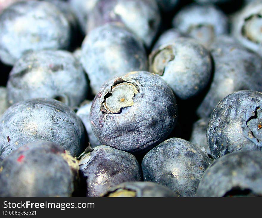 A close up shot of fresh, ripe blue berries