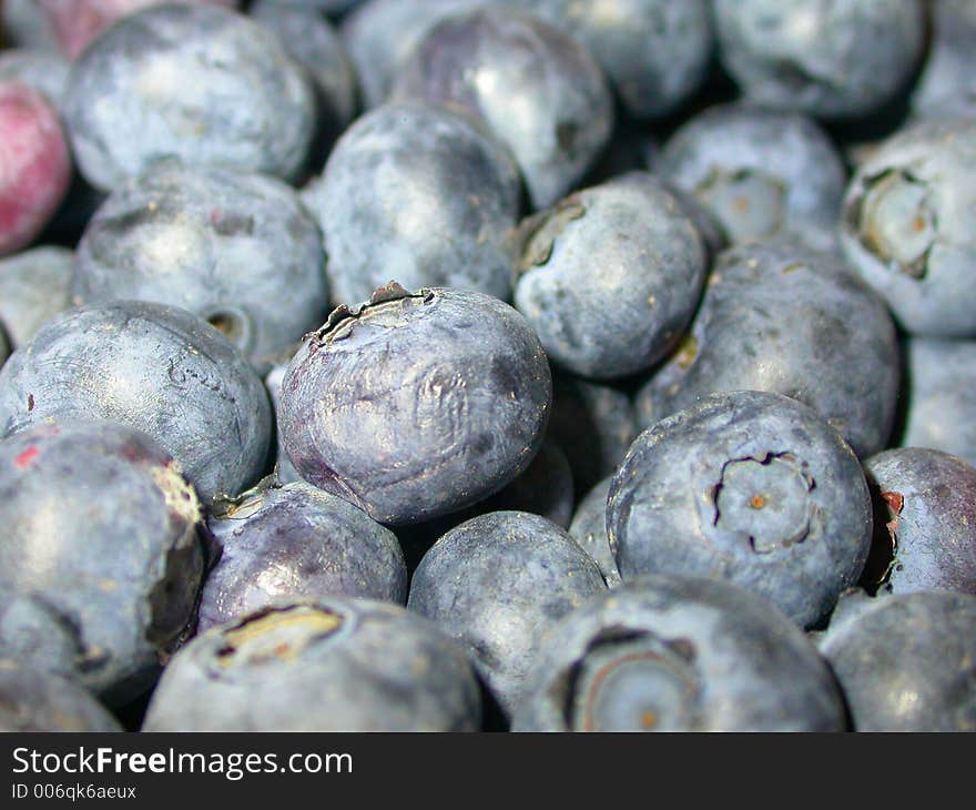 A close up shot of a bowl of ripe ready-to-eat blue berries