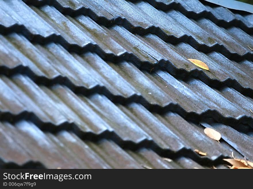 Leaves fallen on blue roof. Leaves fallen on blue roof