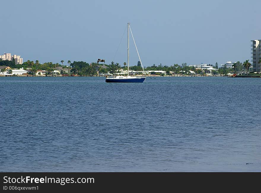 Sailboat In The Bay