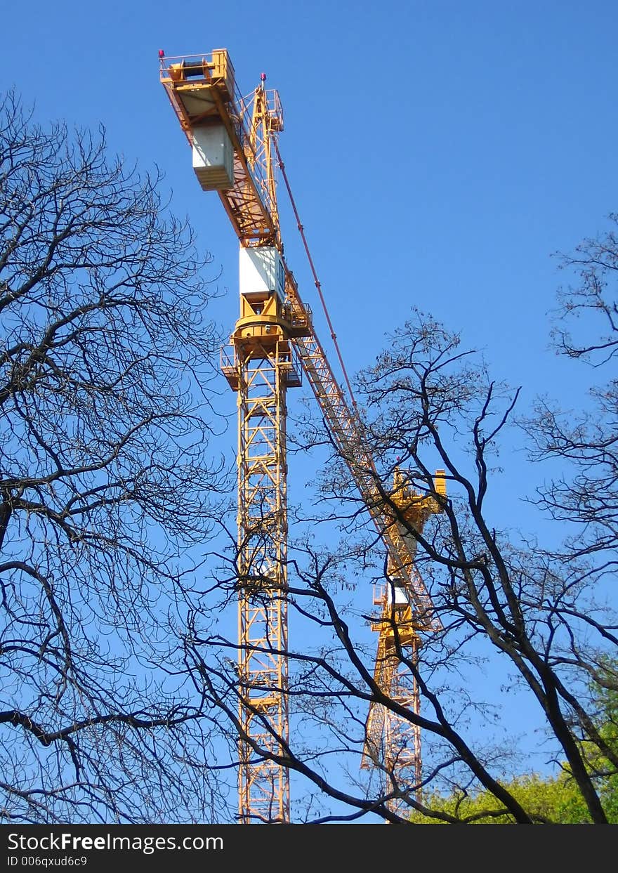 Two construction cranes and trees