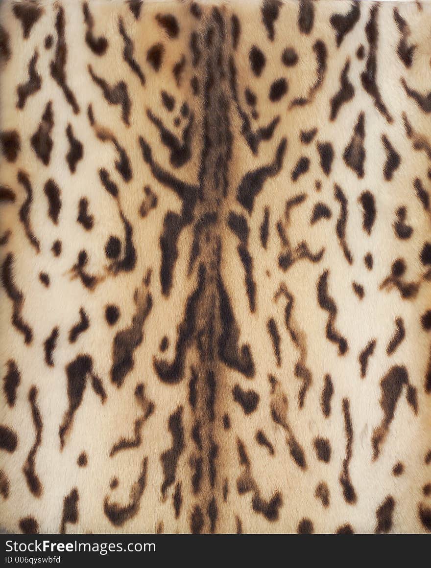 Leopard fur 1