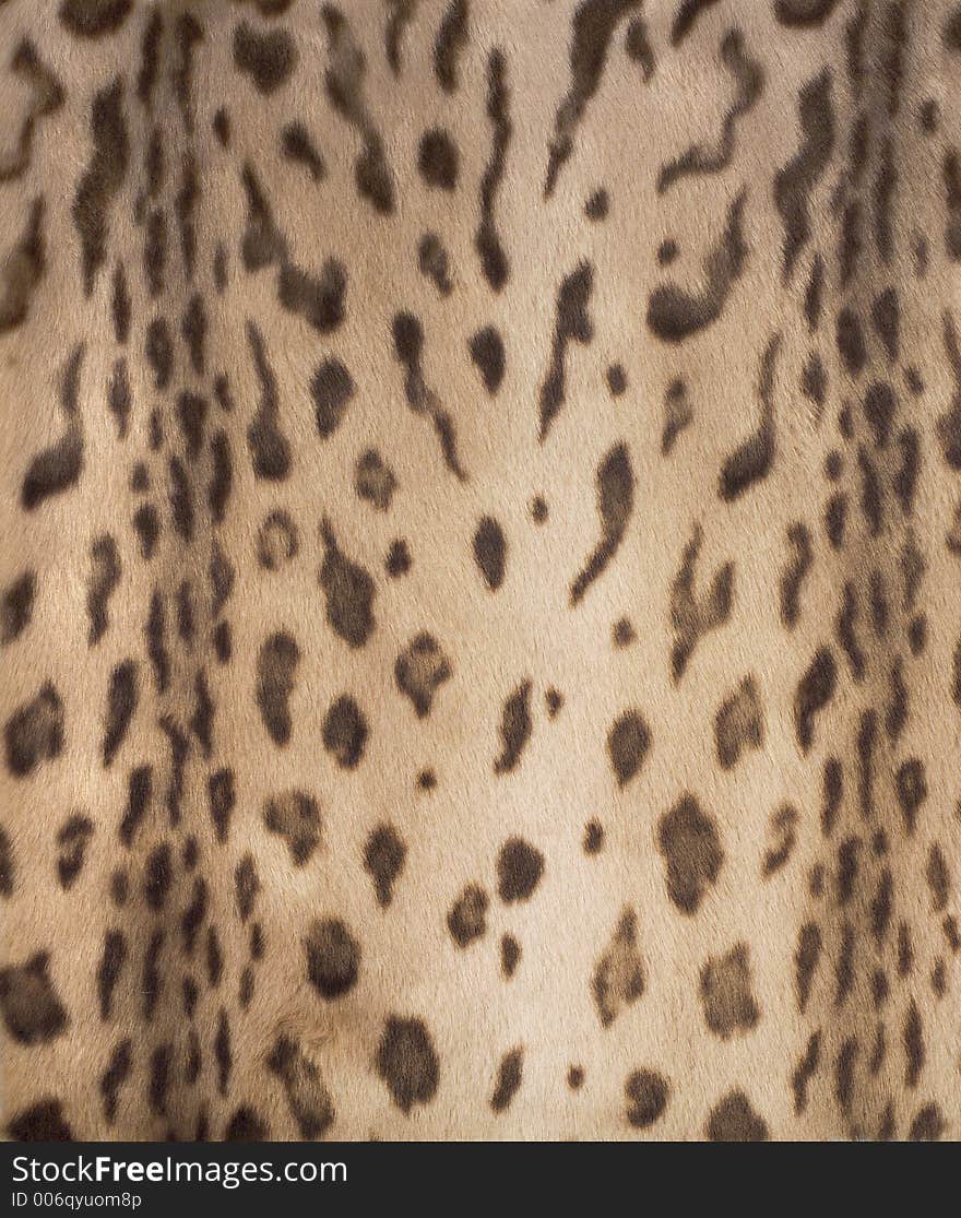 Leopard fur 2