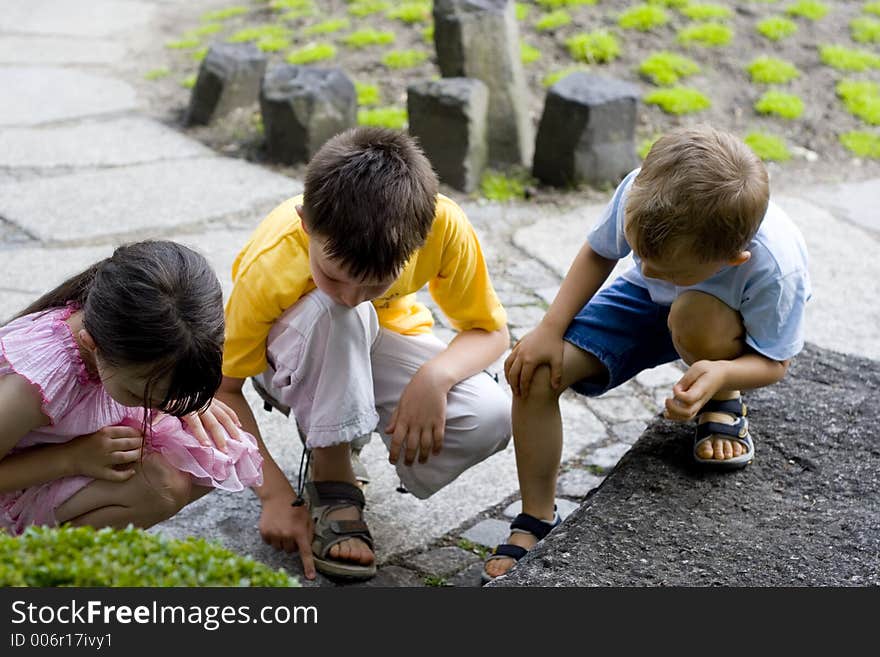 Children looking for ant