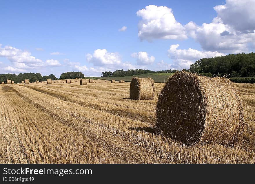 Harvest Time