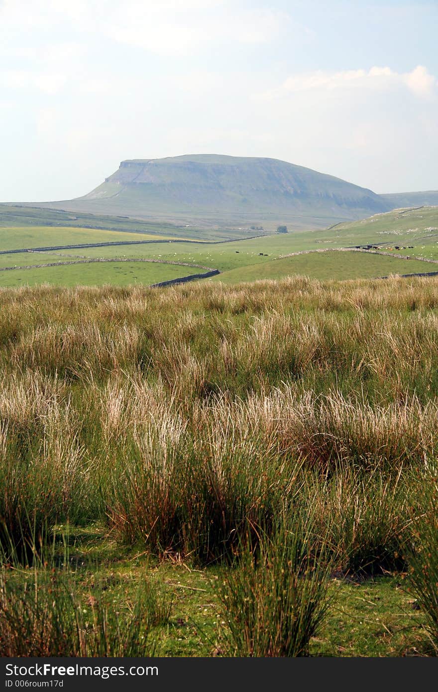 Penyghent - hill in the Yorkshire Dales, England