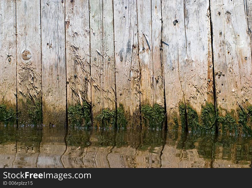 Seaweed and moss grow on wharf boards at waterline