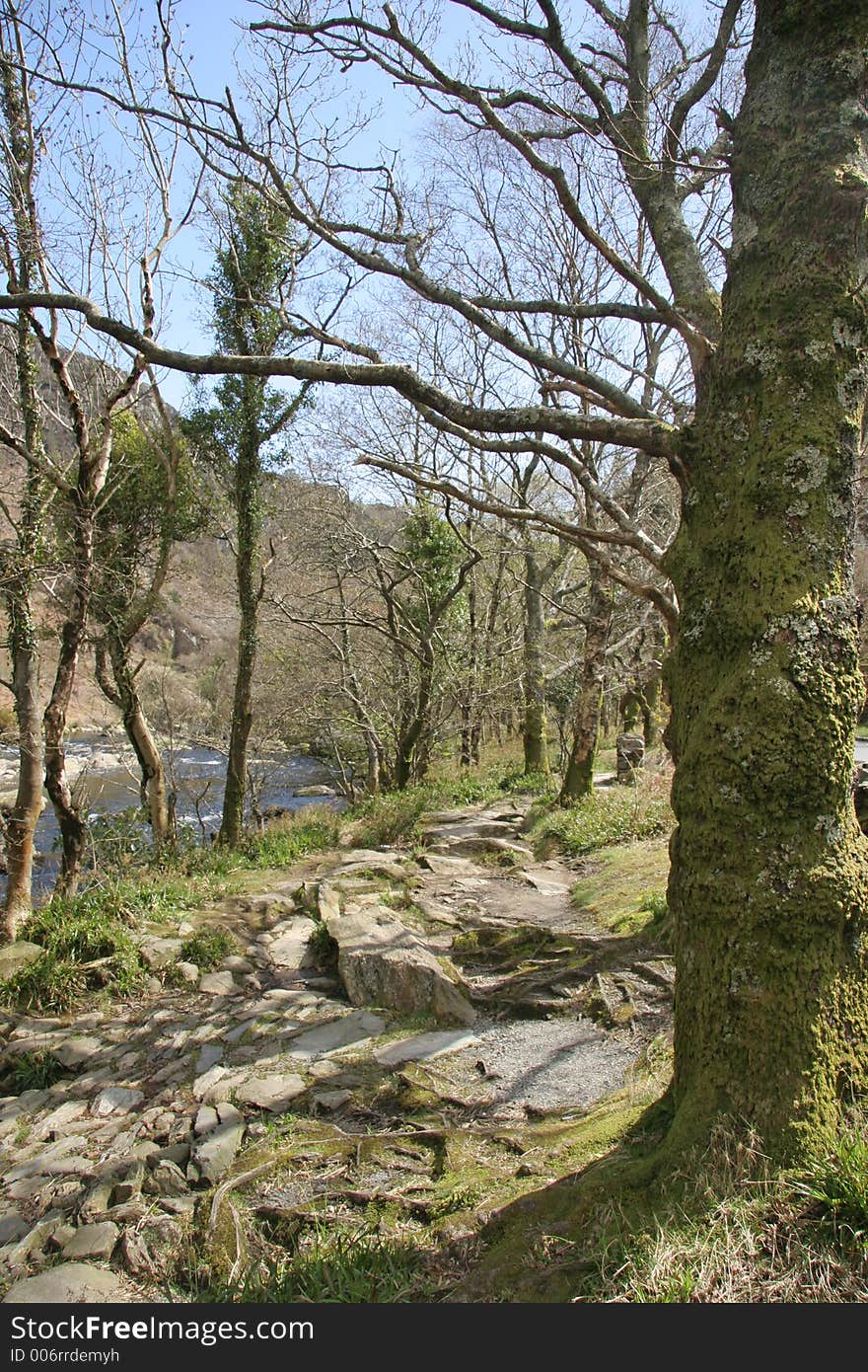 Path by the river