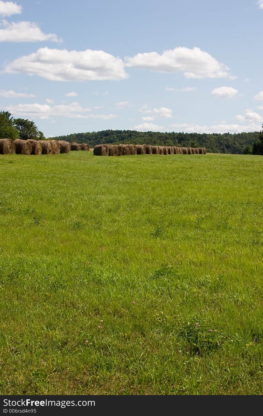 Farmer S Field And A Harvest Of Hay