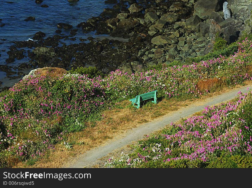 Breen bench by path near Brookings, Oregon. Breen bench by path near Brookings, Oregon