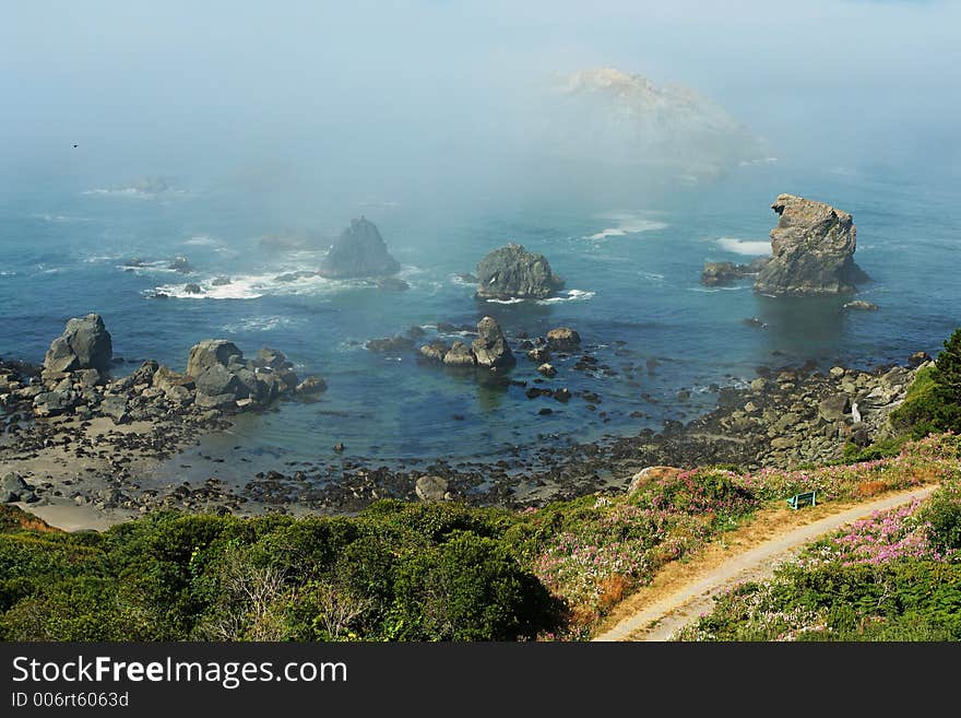 Foggy morning near Brookings, Oregon. Foggy morning near Brookings, Oregon