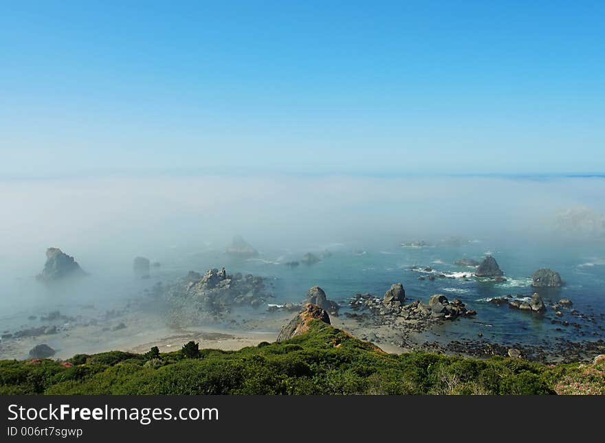 Foggy morning near Brookings, Oregon. Foggy morning near Brookings, Oregon