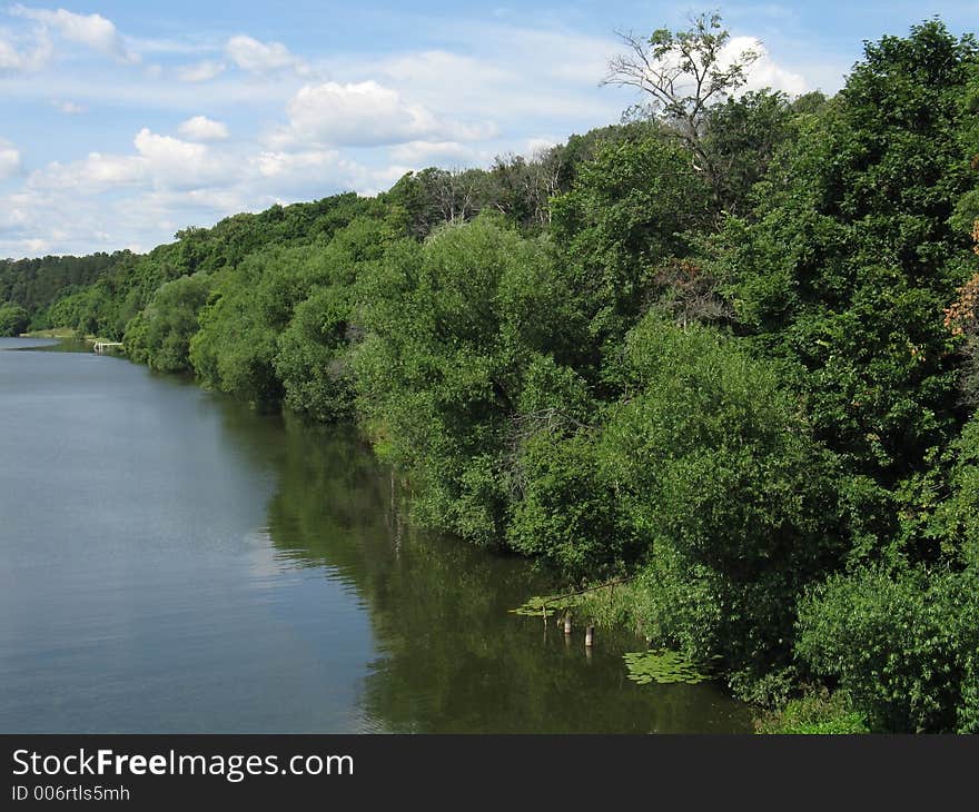 Summer river and trees