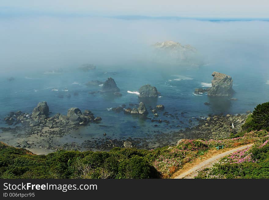 Foggy morning near Brookings, Oregon. Foggy morning near Brookings, Oregon