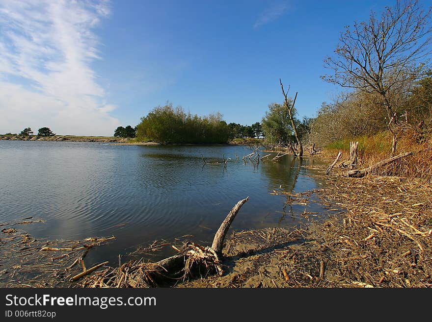 Dry riverbank