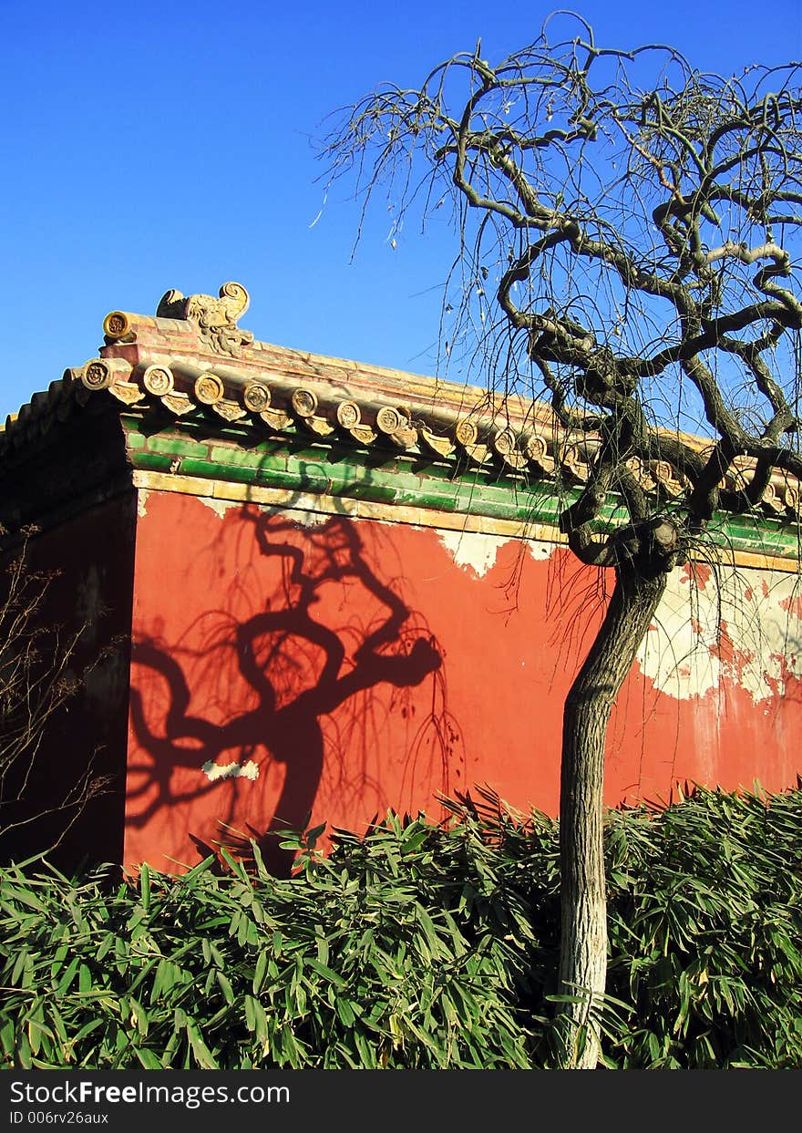 Red wall of an anicent china architecture with a shadow of a tree. Red wall of an anicent china architecture with a shadow of a tree