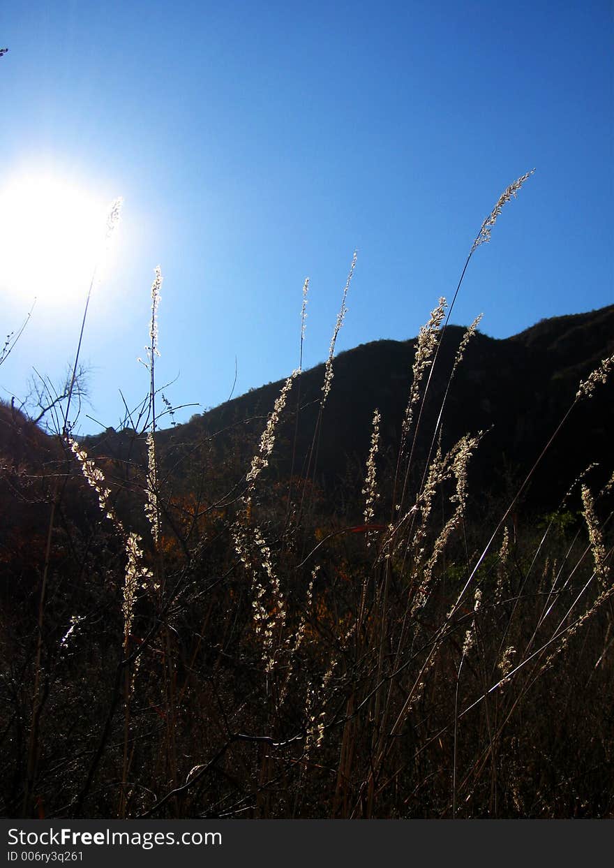 Beautiful scenery, view, outdoor, outing