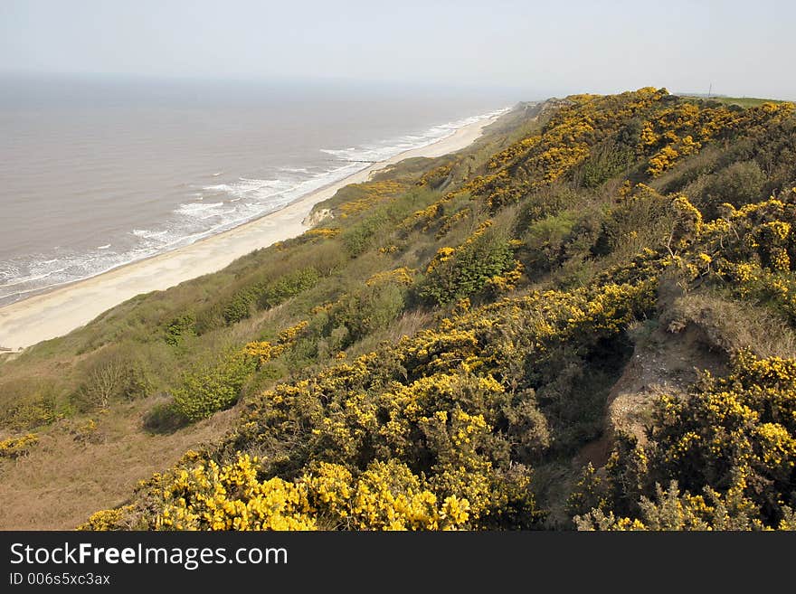 Coastal scene