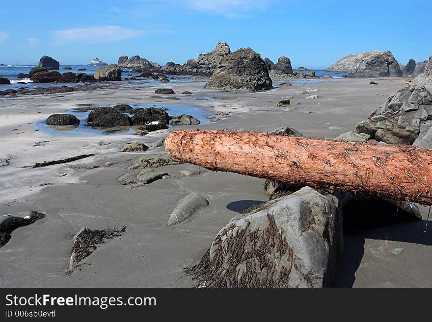 Redwood log, low tide