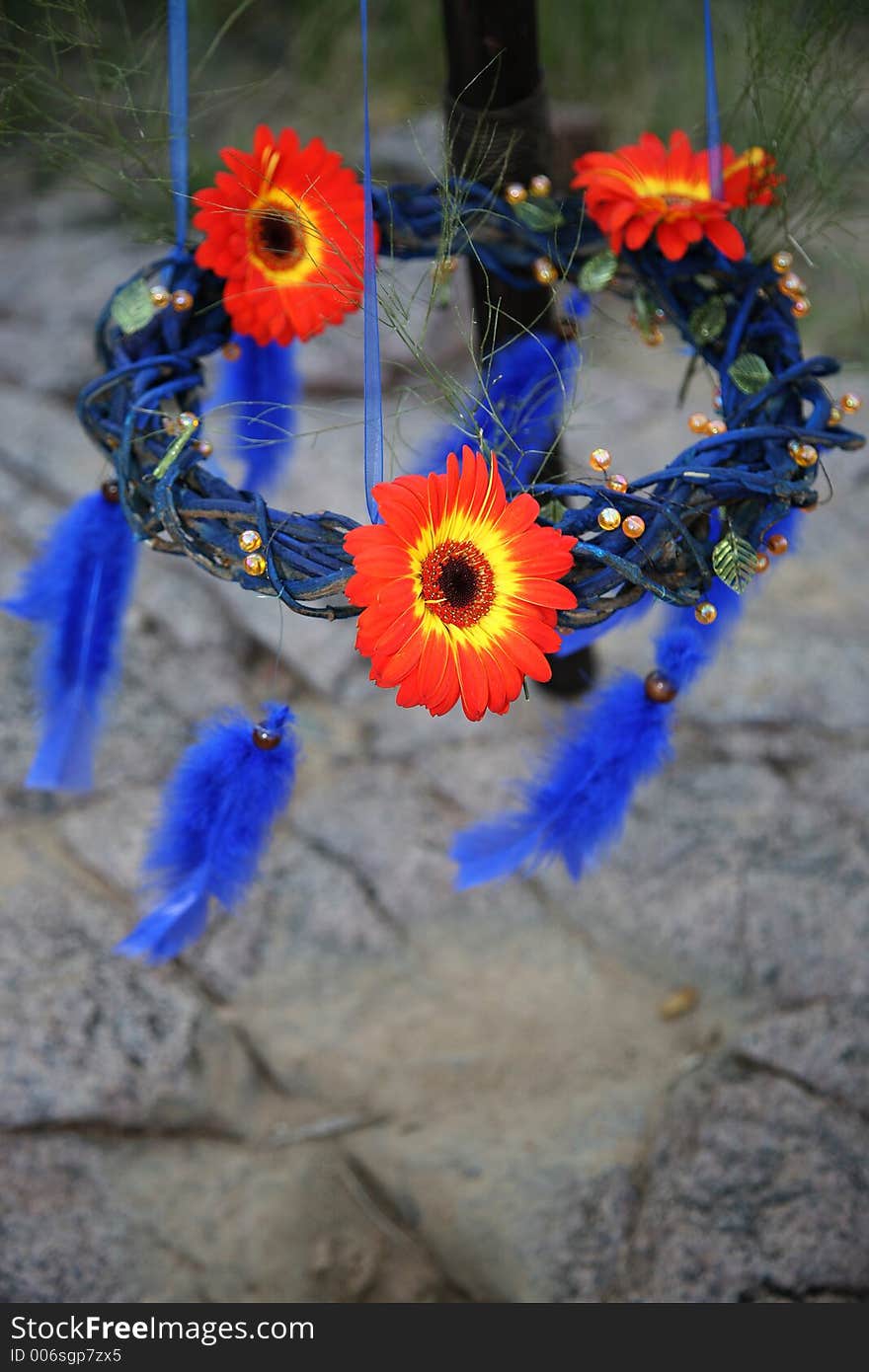 Red daisies and blue feathers. Red daisies and blue feathers