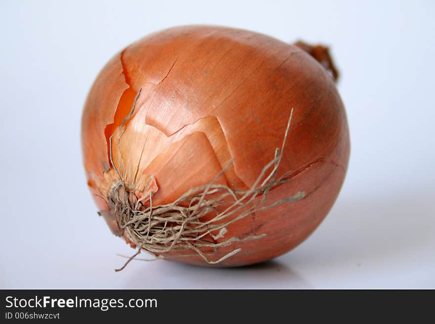 Onion isolated over white background