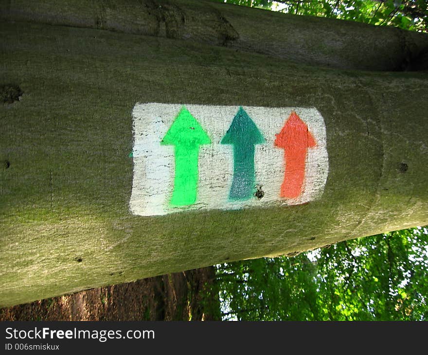 Directions on a tree