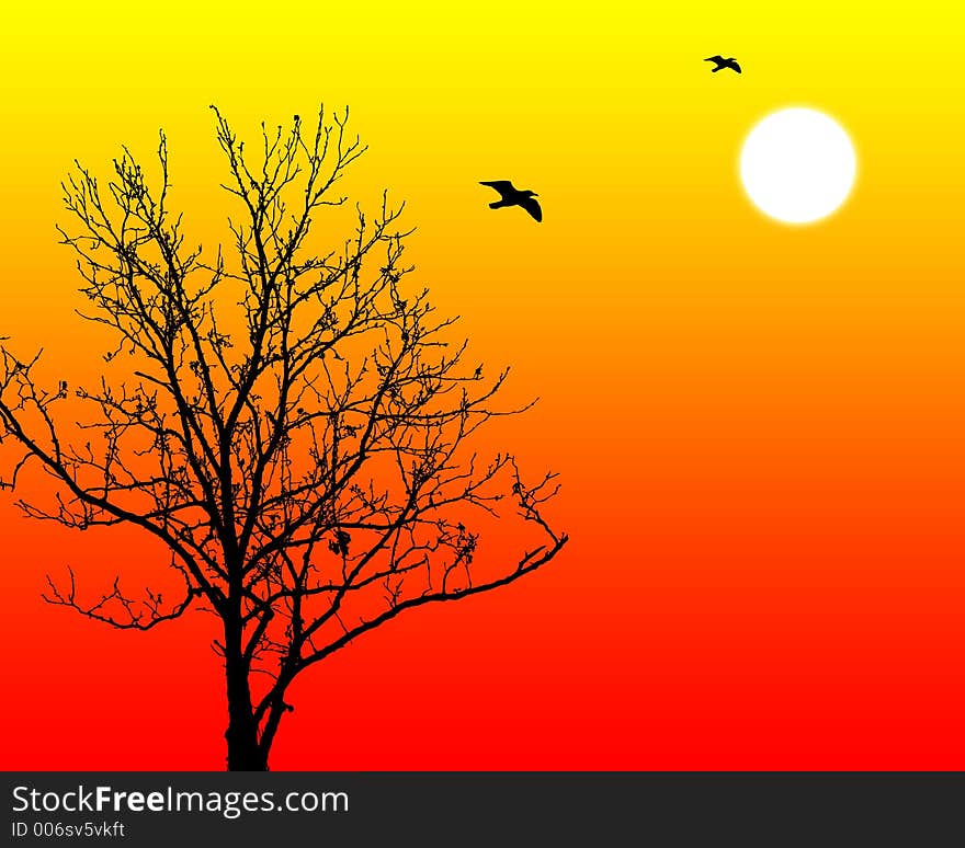 silhouette of a tree with sun, summer scenery. silhouette of a tree with sun, summer scenery