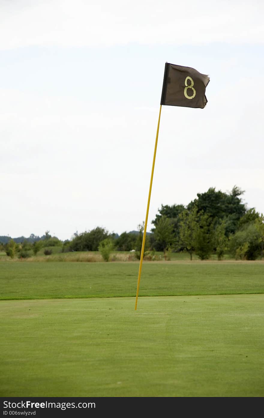 Flag on a golf green - hole 8 - portrait. Flag on a golf green - hole 8 - portrait