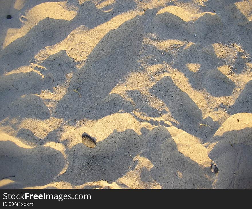 Tracks on the sand beach