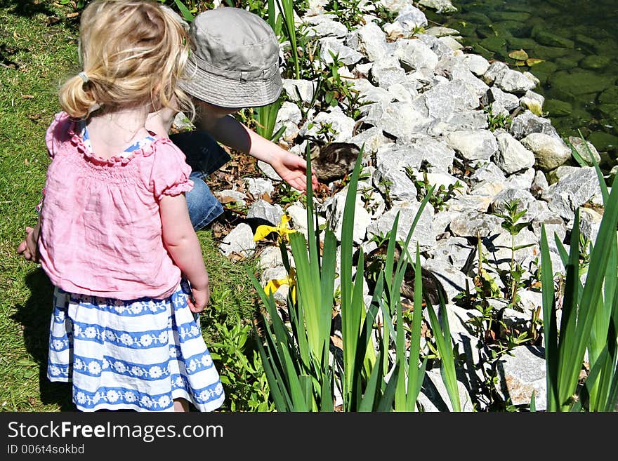 Feeding The Ducklings