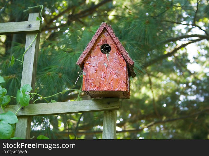 A Red Bird house sits precariously on the edge of a fence beneath the pine trees. A lovely Dahlia garden surrounds the area and provides a lovely view.