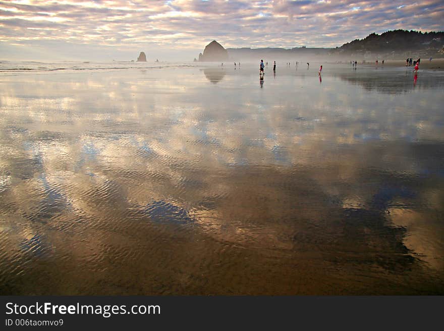 Reflected sky