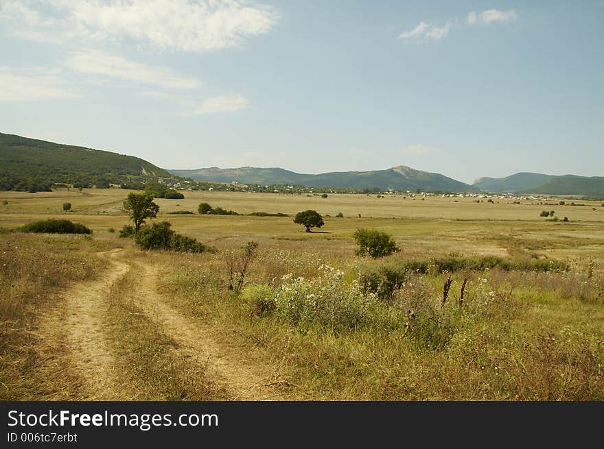 Yellow grassland in the Crimea