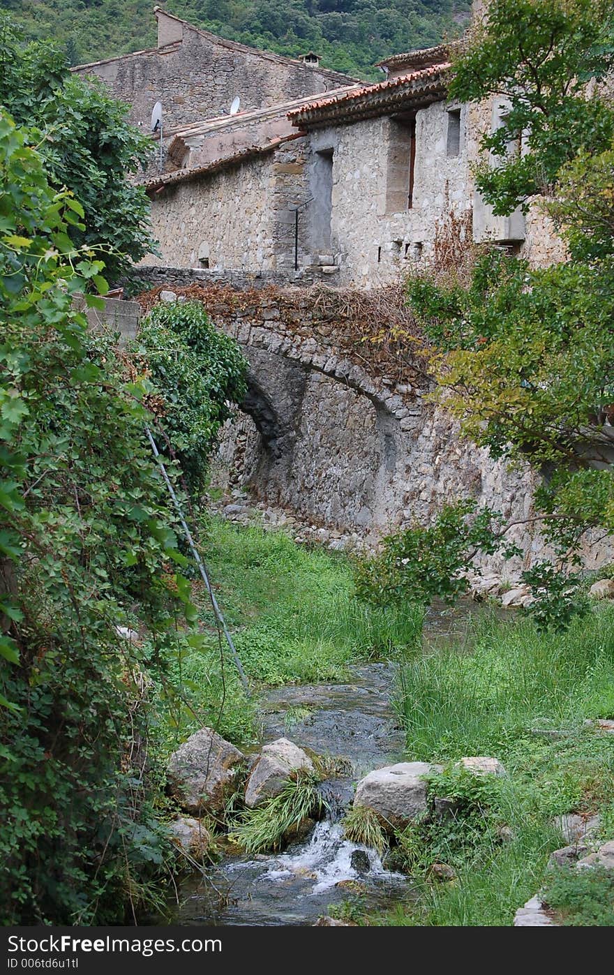 Grassy little river in the village. Grassy little river in the village