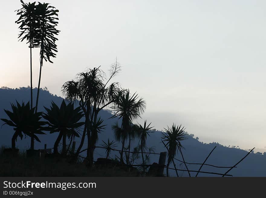 View early morning of lake atitlan in Guatemala. View early morning of lake atitlan in Guatemala