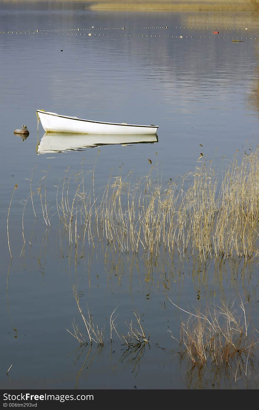 Boat at the sea, skadarsko jezero. Boat at the sea, skadarsko jezero