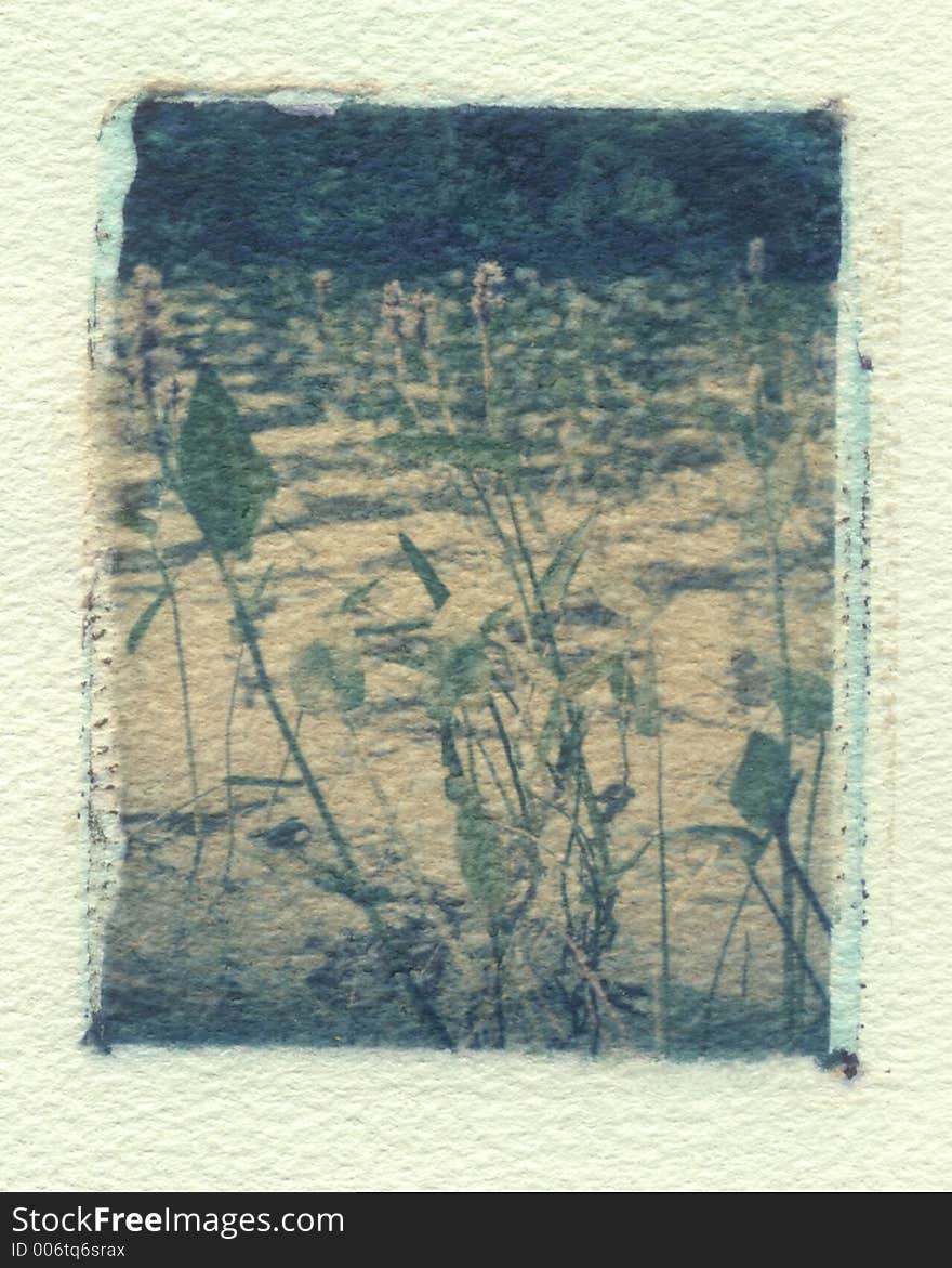 Polaroid image transfer. Polaroid image transfer