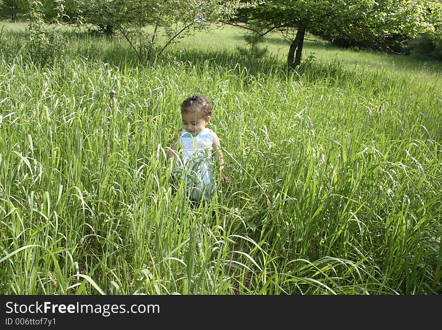 Little girl playing in a field of grass. Little girl playing in a field of grass