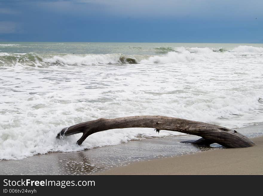 Wild sea  Italy, lido di camaiore. Wild sea  Italy, lido di camaiore