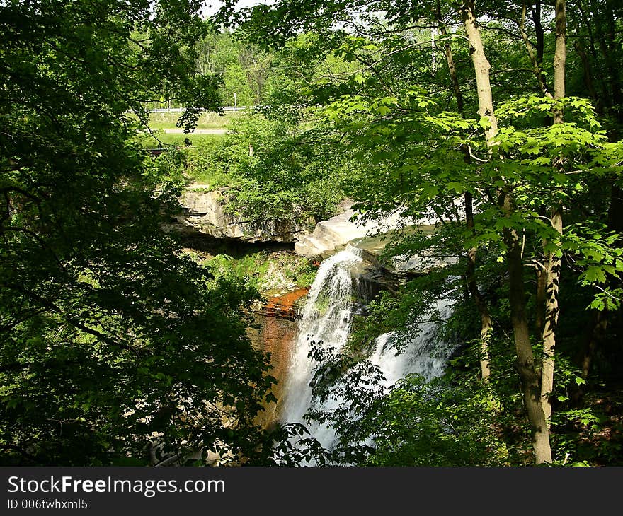 Brandywine Falls In Summer