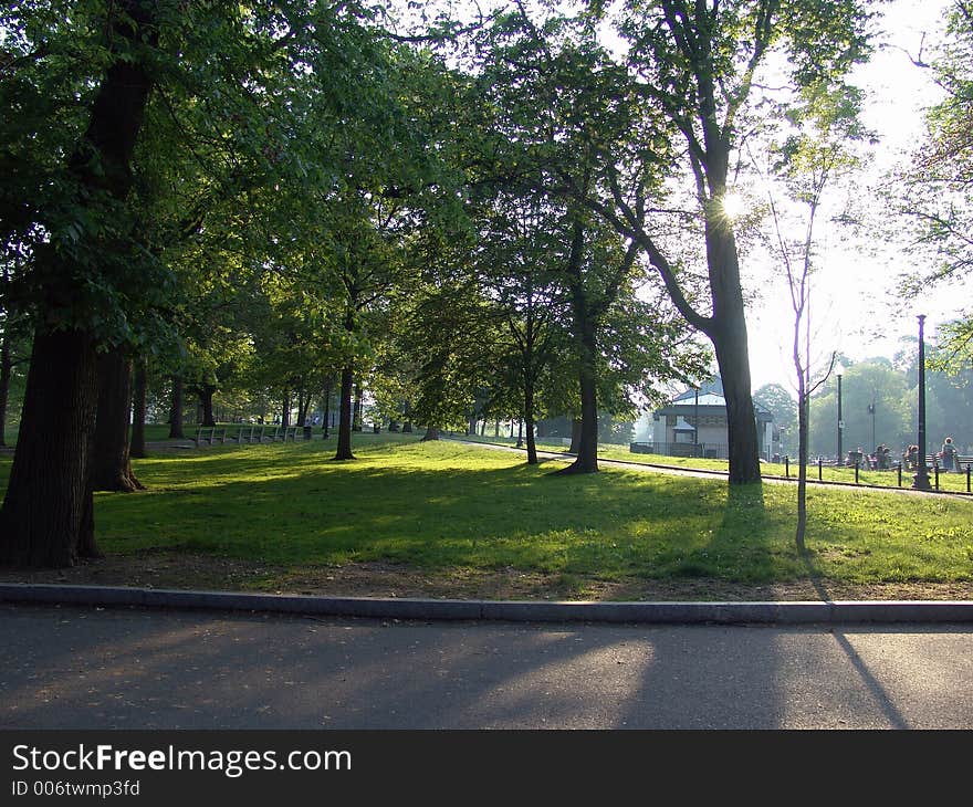 Boston Commons in the sunshine