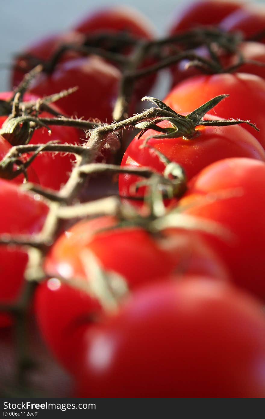 Cherry tomatoes in a branch. Cherry tomatoes in a branch