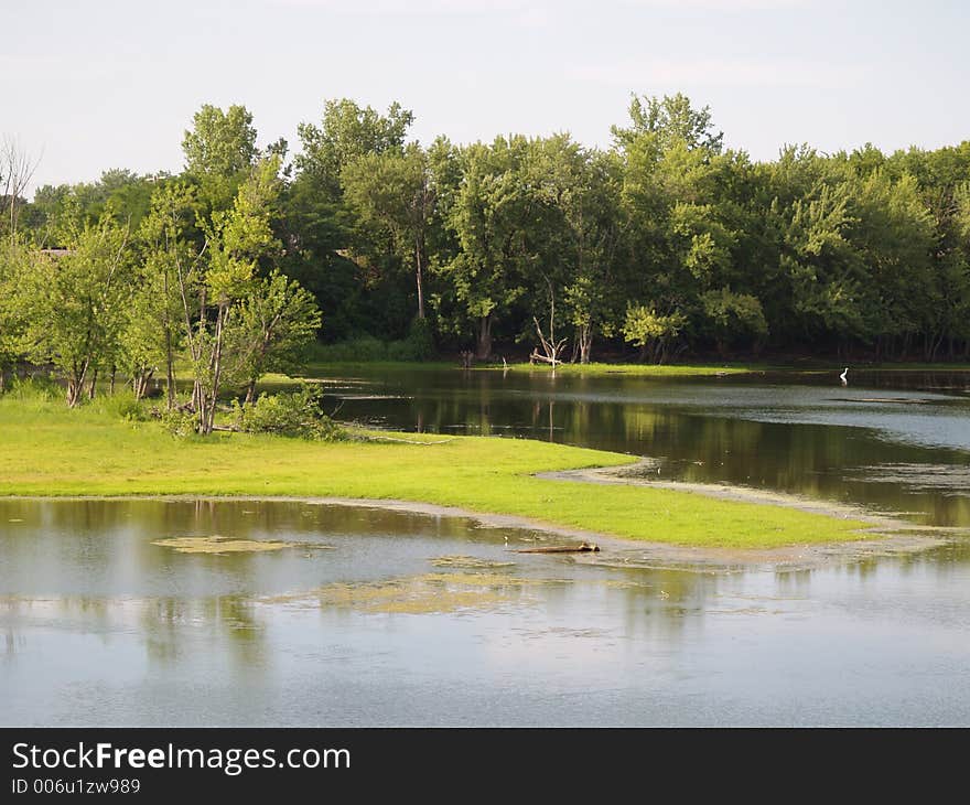 Wetlands