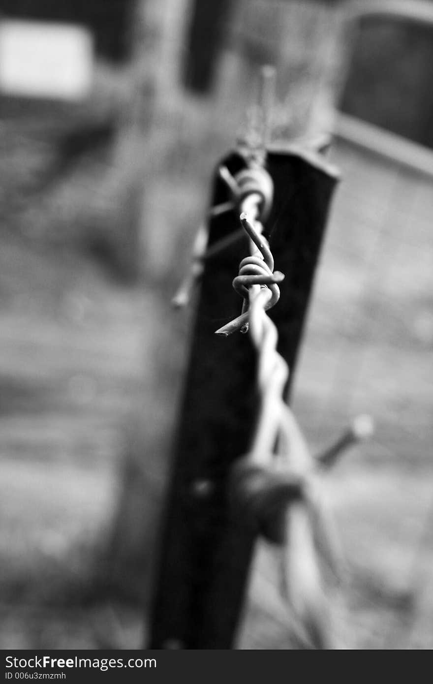 Barbed wired fence in black and white