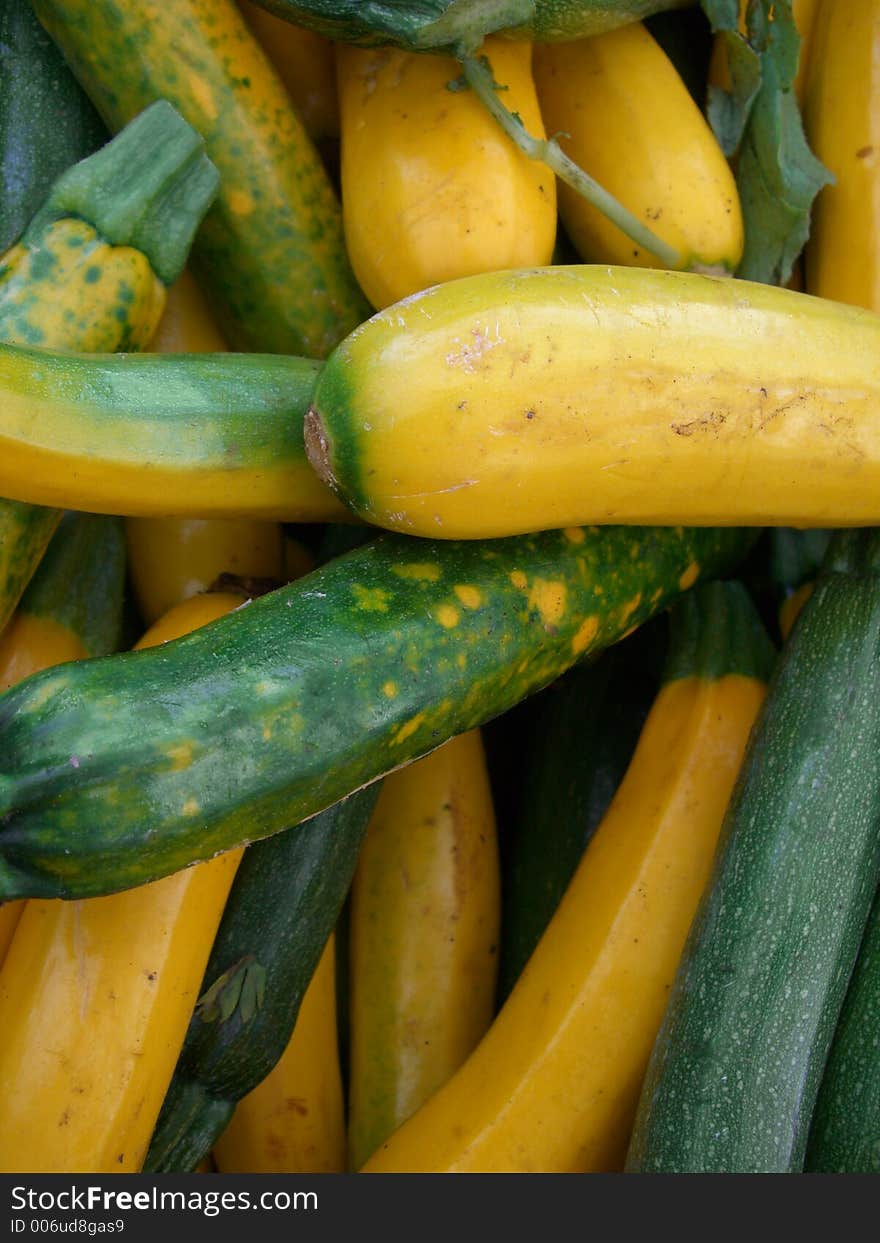 Squash at Market. Squash at Market