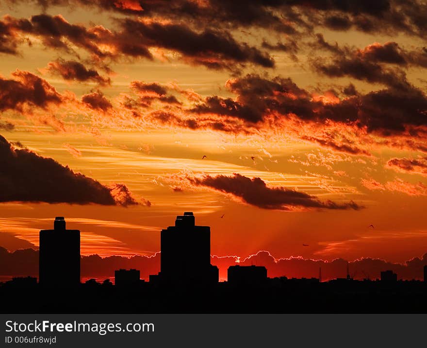 Red sunset with clouds and birds. Red sunset with clouds and birds