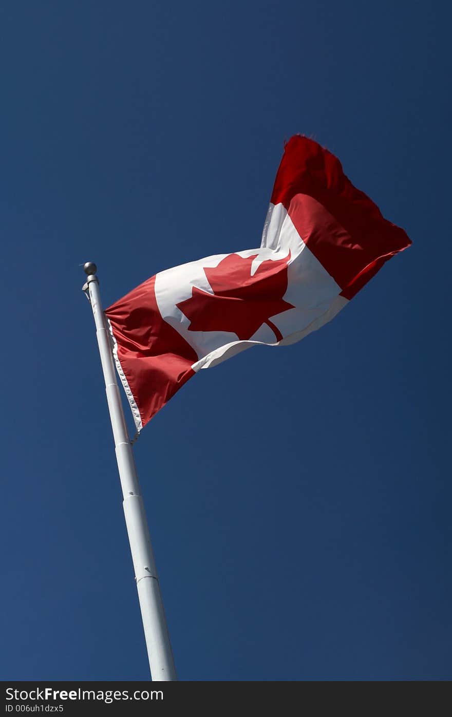 Canadian Flag in the wind