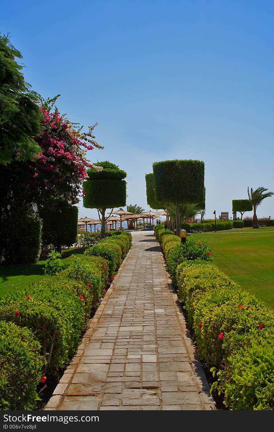 Long pathway to the beach (vertical)